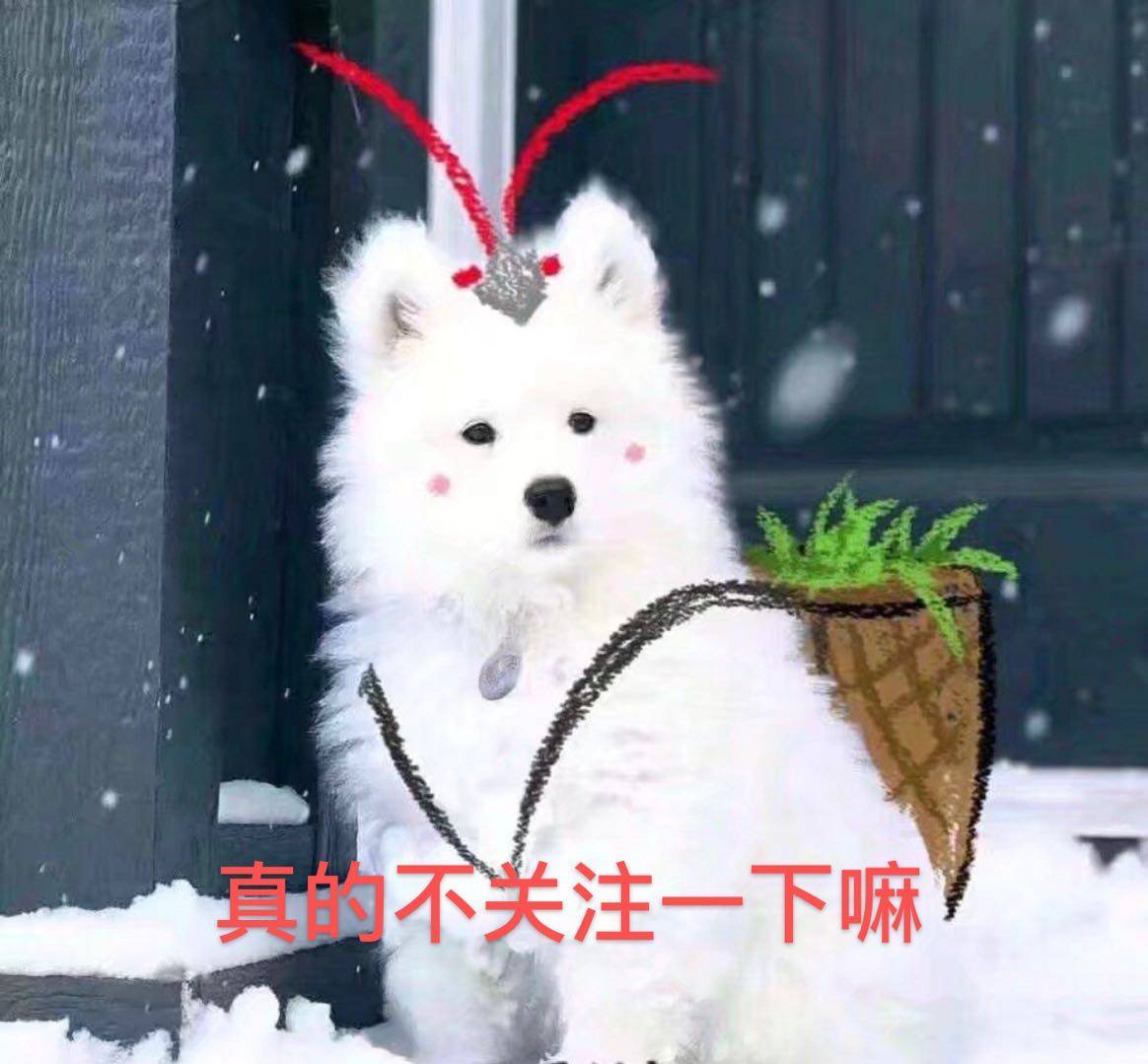 into1全员学历曝光,林墨学历高,张嘉元垫底,周柯宇最令人意外