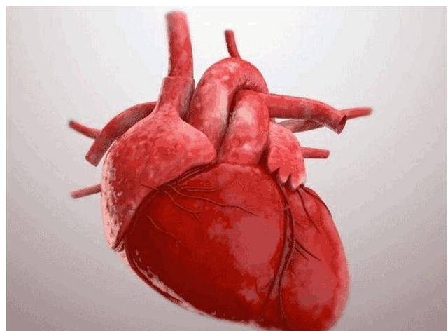 如何睡觉对心脏好 1c3bfd1de49e4b08b2d337393af14e40.jpeg