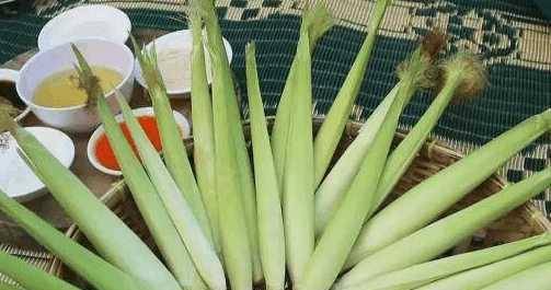2eb29851e6804a45916c48e6a9a858be.jpeg