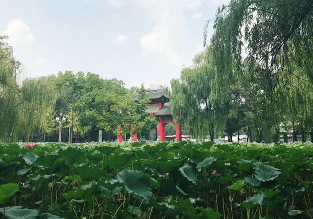 大学环境排行_武汉理工大学“环境生态学科”新增进入全球排名前1%
