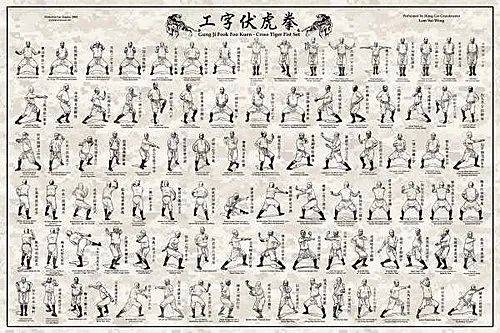 《工字伏虎拳拳谱》中的人物就是林世荣▲朱愚斋半人物传记半武侠