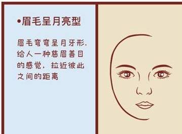 异什么鼻成语_纯白异瞳猫是什么品种(2)
