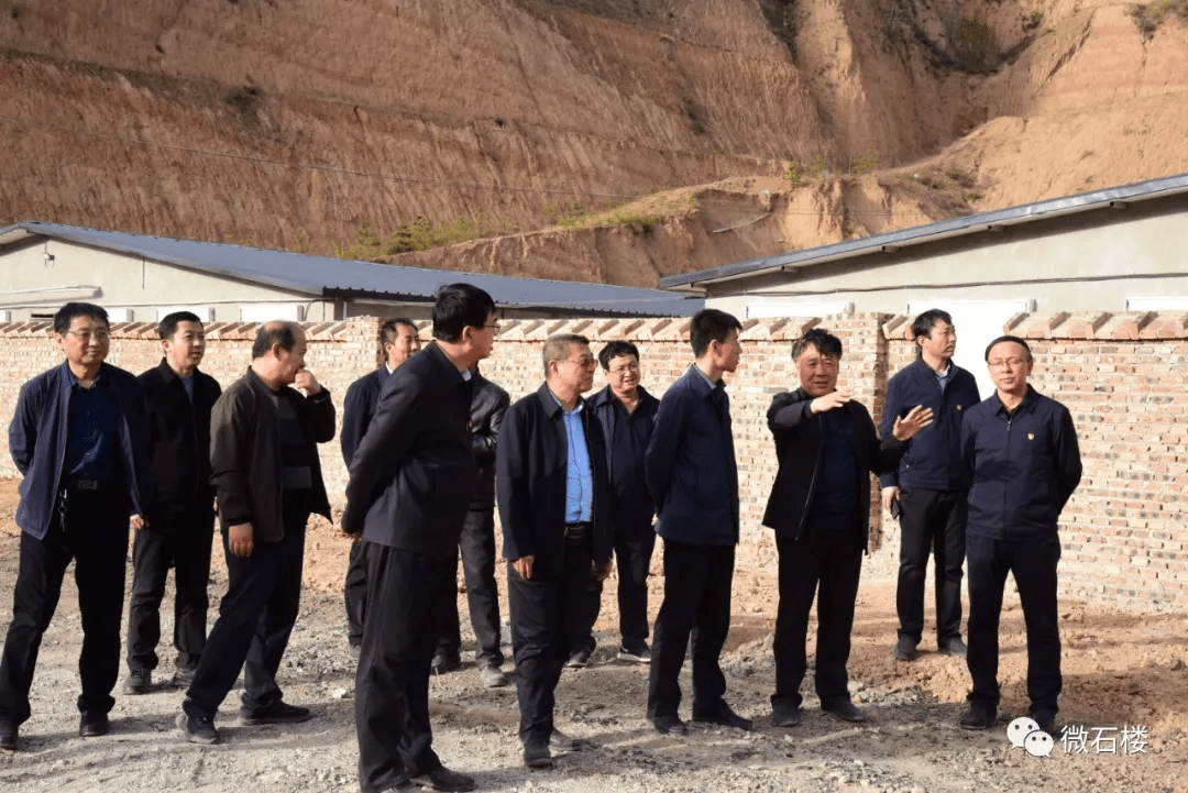 张鹏耀调研石楼县生猪养殖项目建设情况