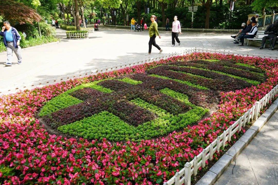 上海辰山植物园好玩吗_上海辰山植物园攻略_辰山植物园有月票吗