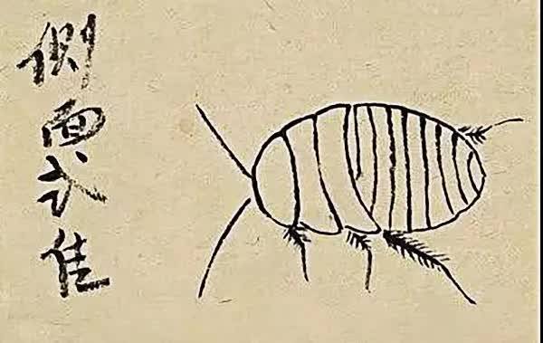 画家心有多细,看齐白石画的“土鳖”就知道了