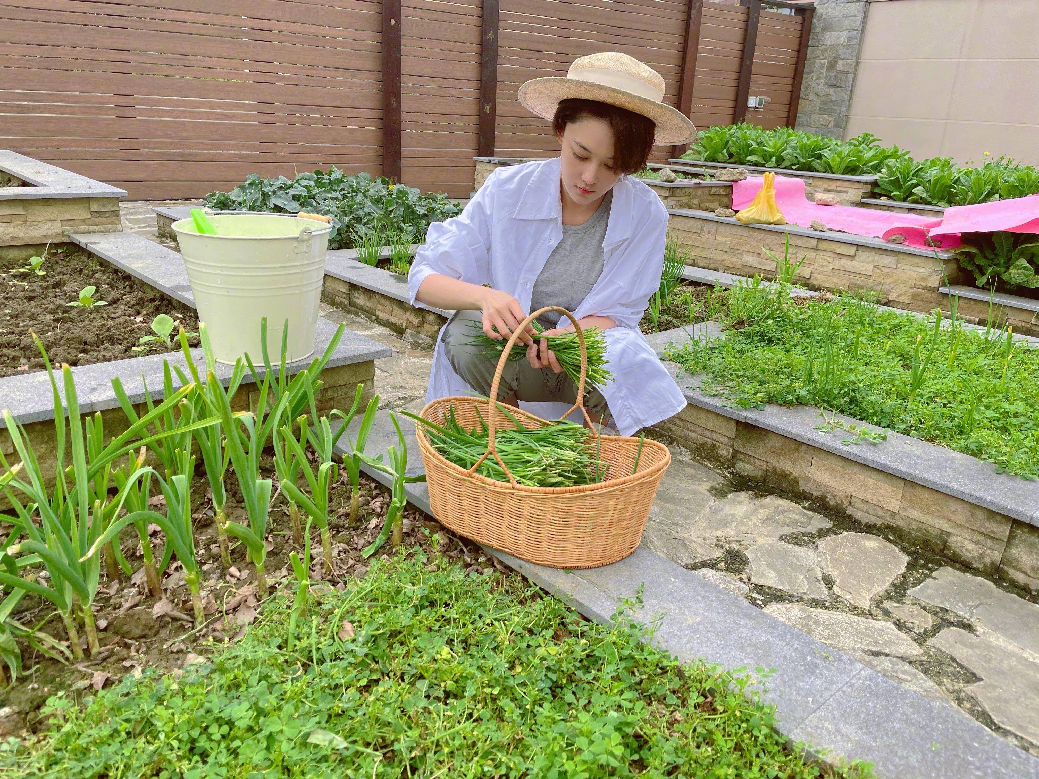 美女徒手杀蛇图片