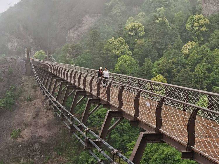 圓夢橋臥龍橋玻璃觀景臺南天橋自動扶梯空中棧道如意橋唯有經過的橋