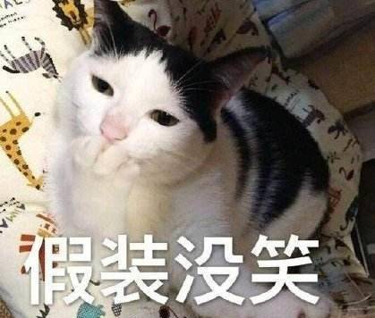 猫咪|当向来霸道的猫咪落到了猴哥手里,怕是少不了撸秃一层毛