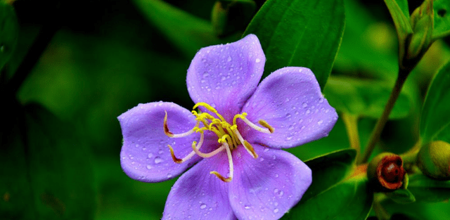 两周后,瀚海云端,不及有你,旧爱转身,余生相守,余生皆是你_感情