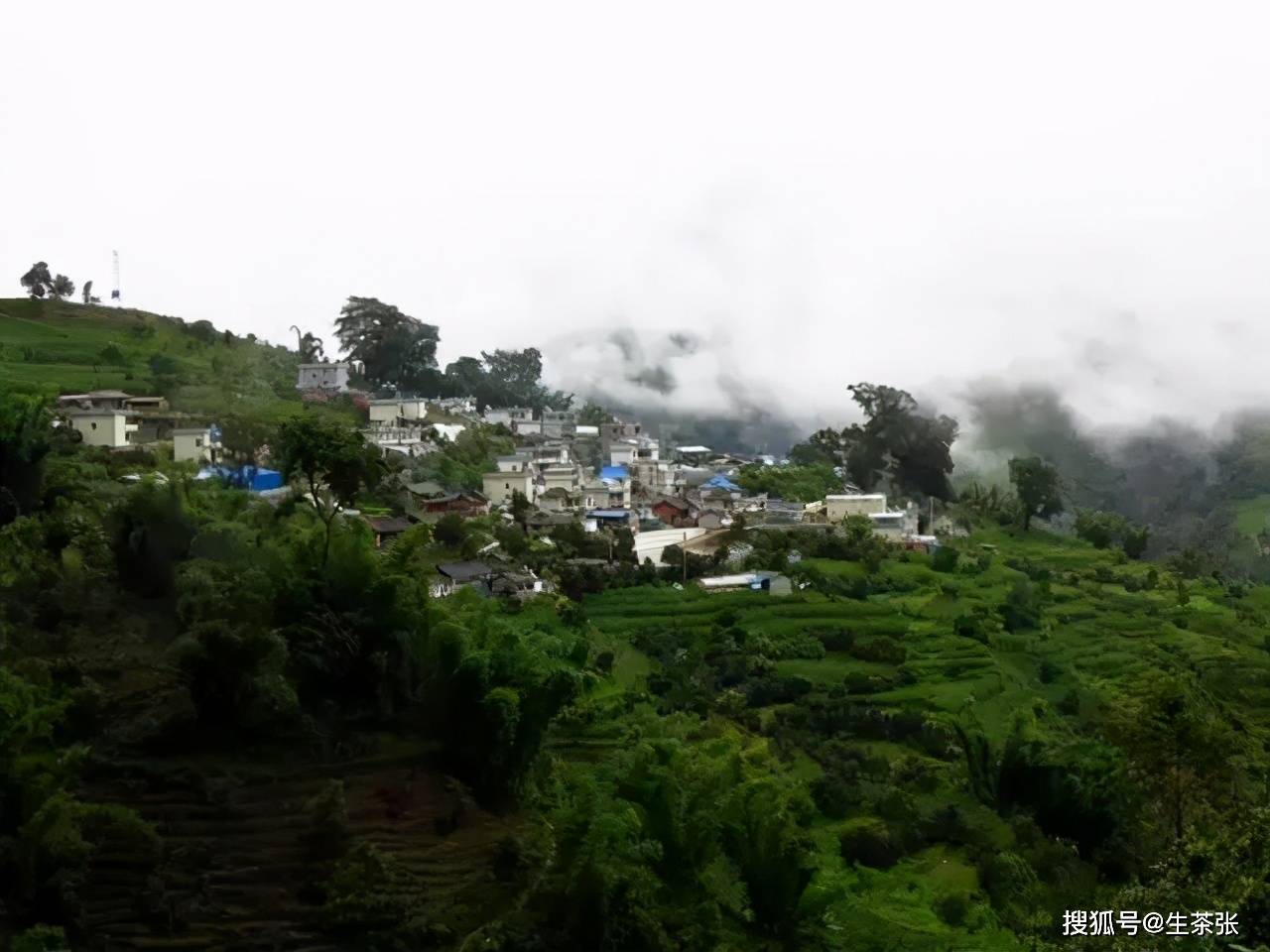 什么是勐库茶勐库与众不同的景象和普洱茶特点有关系吗