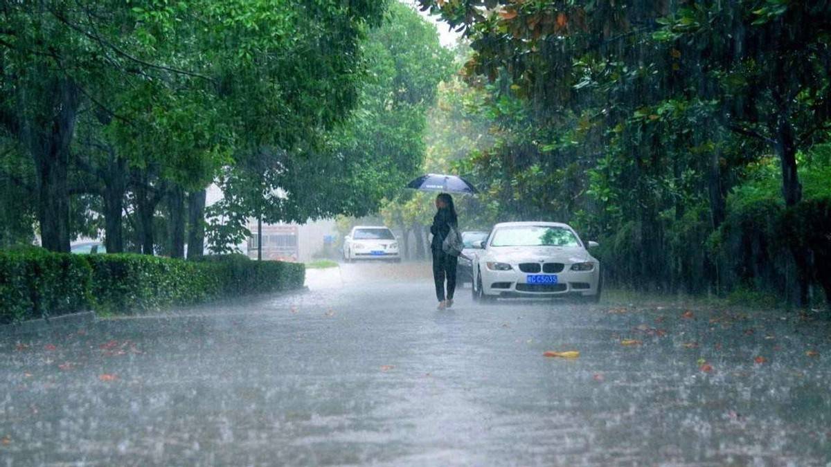 西安 雨天 秦岭 暴雨 秦岭野生动物园
