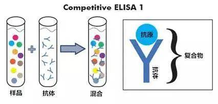 封闭抗体的原理是什么意思_乙肝抗体是什么意思(2)