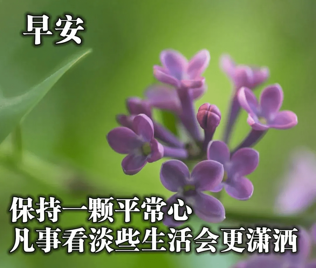 美麗動人的早安祝福問候圖片最溫暖勵志的早安祝福語