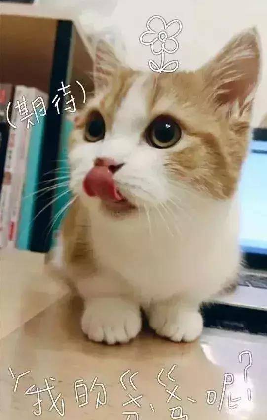 1fcfb9354b074b7e914e700d488ceee8.jpeg