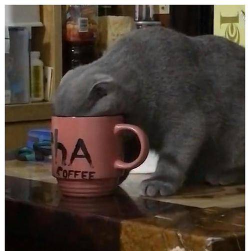 3fcdfb73cf18464a85ca573d73c8dffa.jpeg