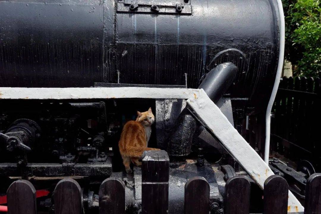 9月,上川铁路江镇至川沙段被拆除,缩线至庆宁寺至川沙,改名为"沪川线"