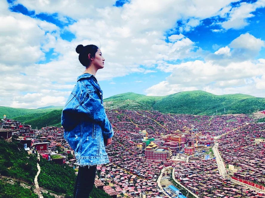 国家面积排行_张坤排名罕见下滑|易方达基金|景顺|广发_网易订阅