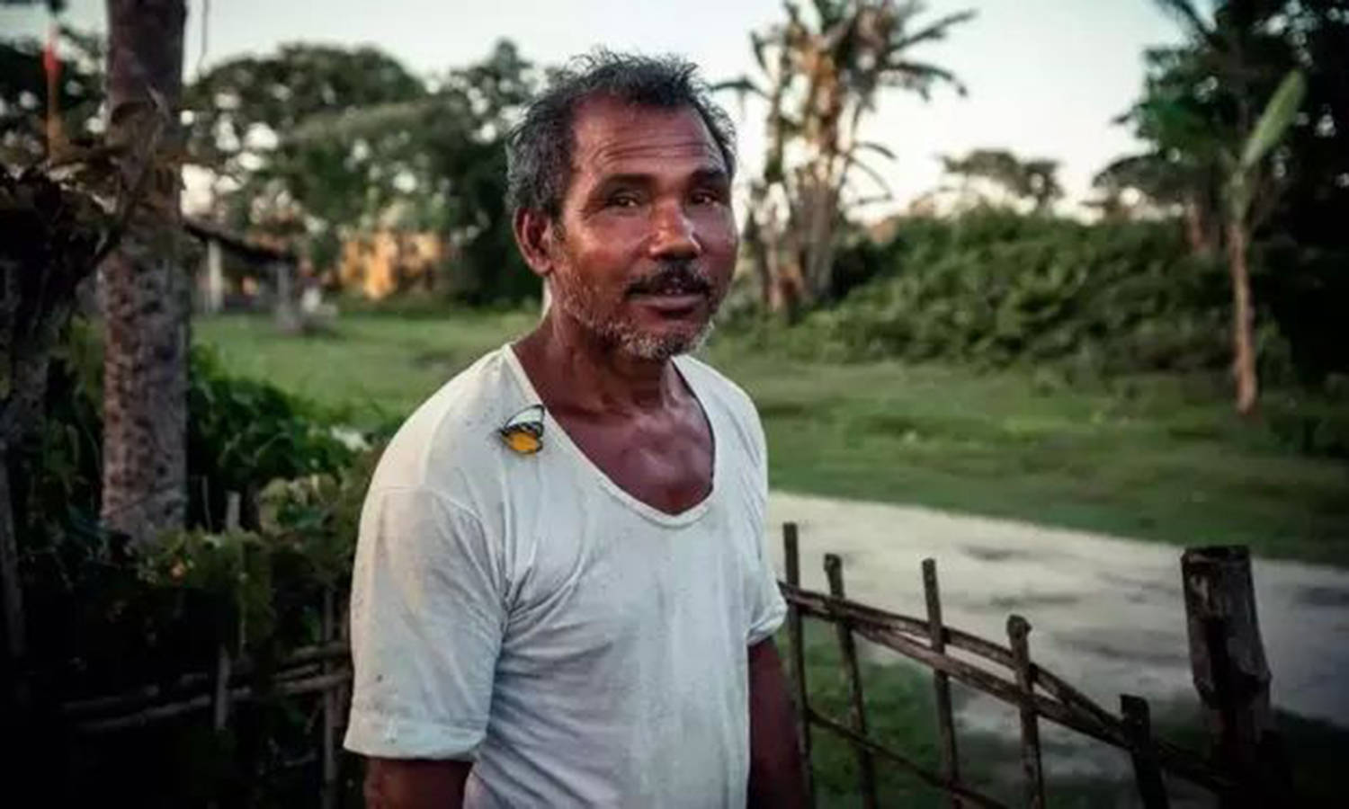 执着的印度森林之子辞掉建筑师工作42年间造550万平方米森林