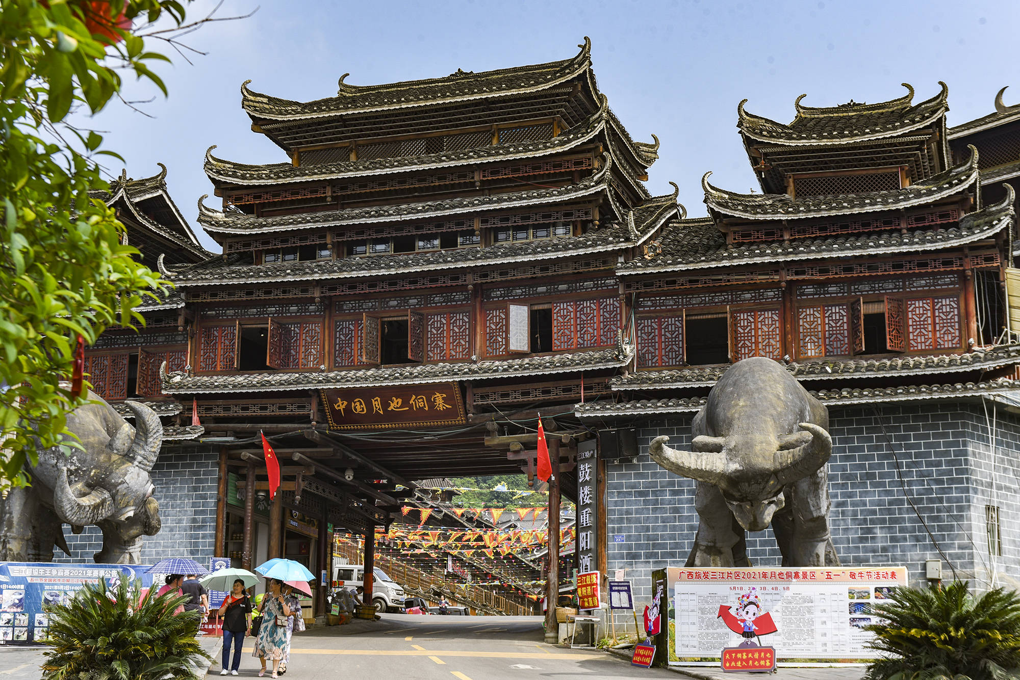 三江县的鸟巢位于月也侗寨,"月也",在侗族人的习俗里是集体做客的意思