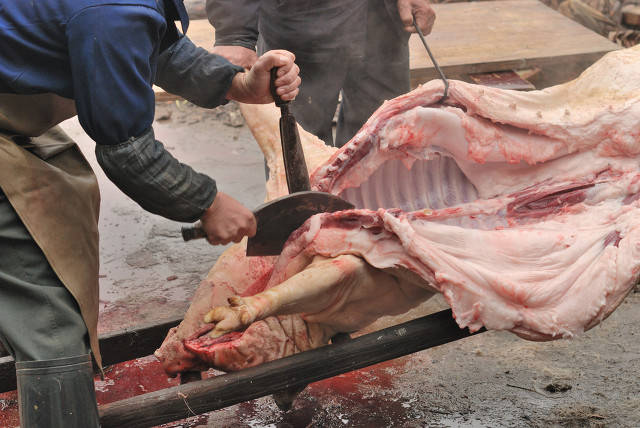 为何有些屠夫明明身体壮实但是却早早离世几大因素揭秘