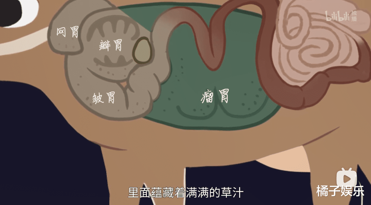 奇食记片如其名童子尿蛋有缝才入味黎族鱼茶不输鲱鱼罐头