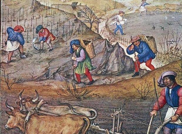 敞田制作为中世纪英国最基本的土地耕作制度,为什么会逐渐衰败?