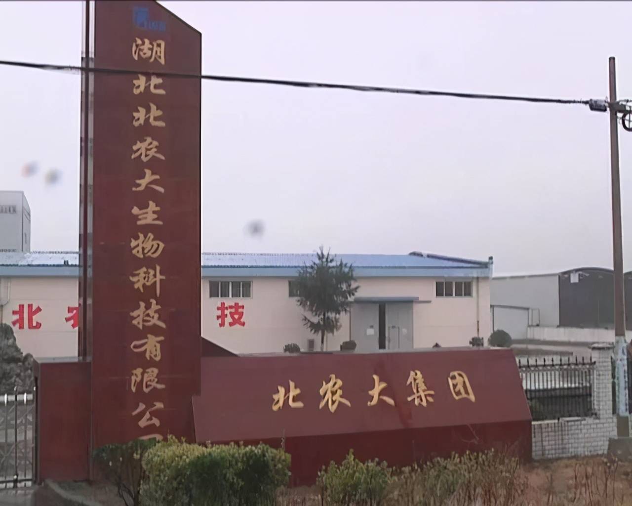 北农大IPO：募投项目信息披露存异 招股书或