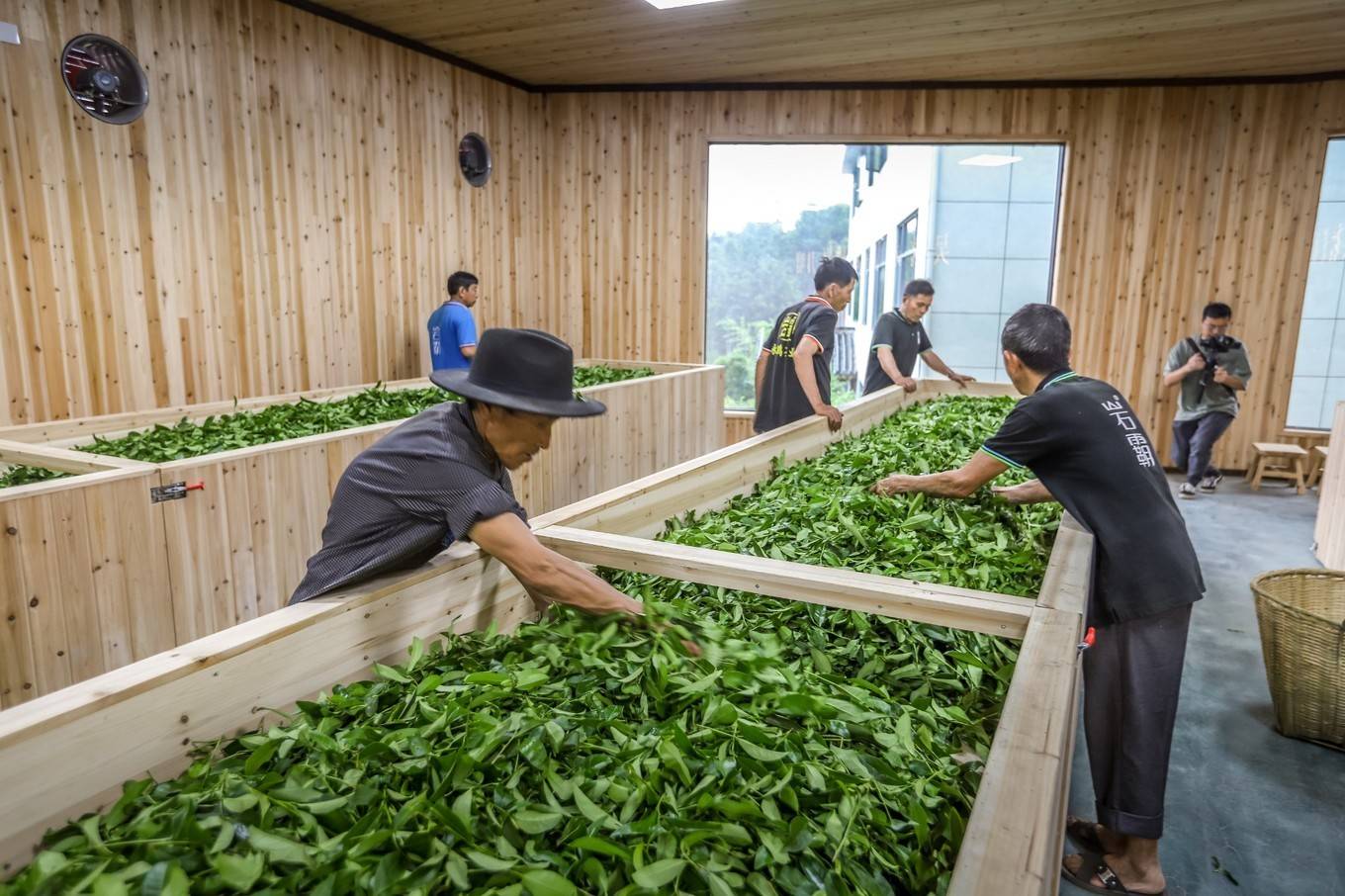 巖霸茶業獨創了一個木頭的