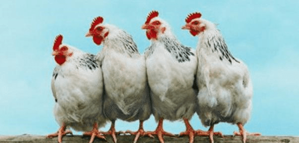 8b5cfb046c54433591695c89a396a870.png