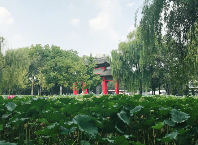 四川大学排行_“大学食堂排行榜”出炉,网红食堂不是吹的,考上可能会胖十斤