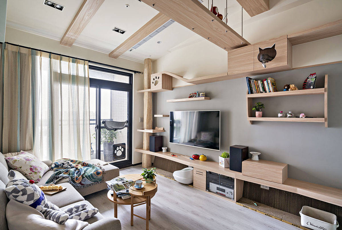 80㎡猫宅化住家，5人7猫1犬共居乐活_猫咪