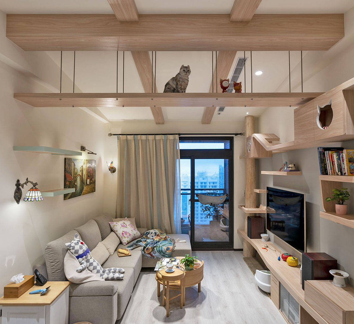 80㎡猫宅化住家，5人7猫1犬共居乐活_猫咪