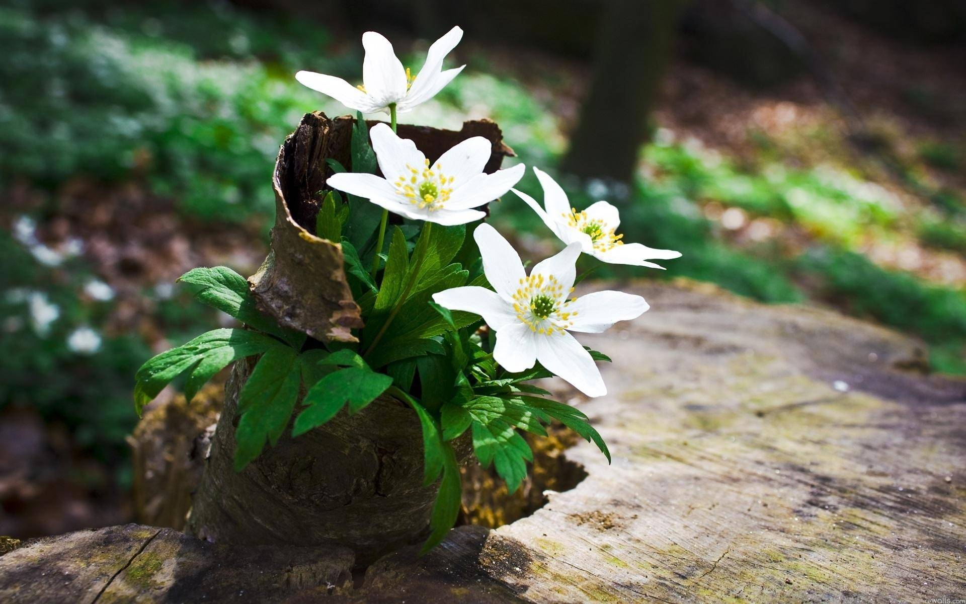 5月14日星座运势 重拾锐气 后来居上的四大星座 生活