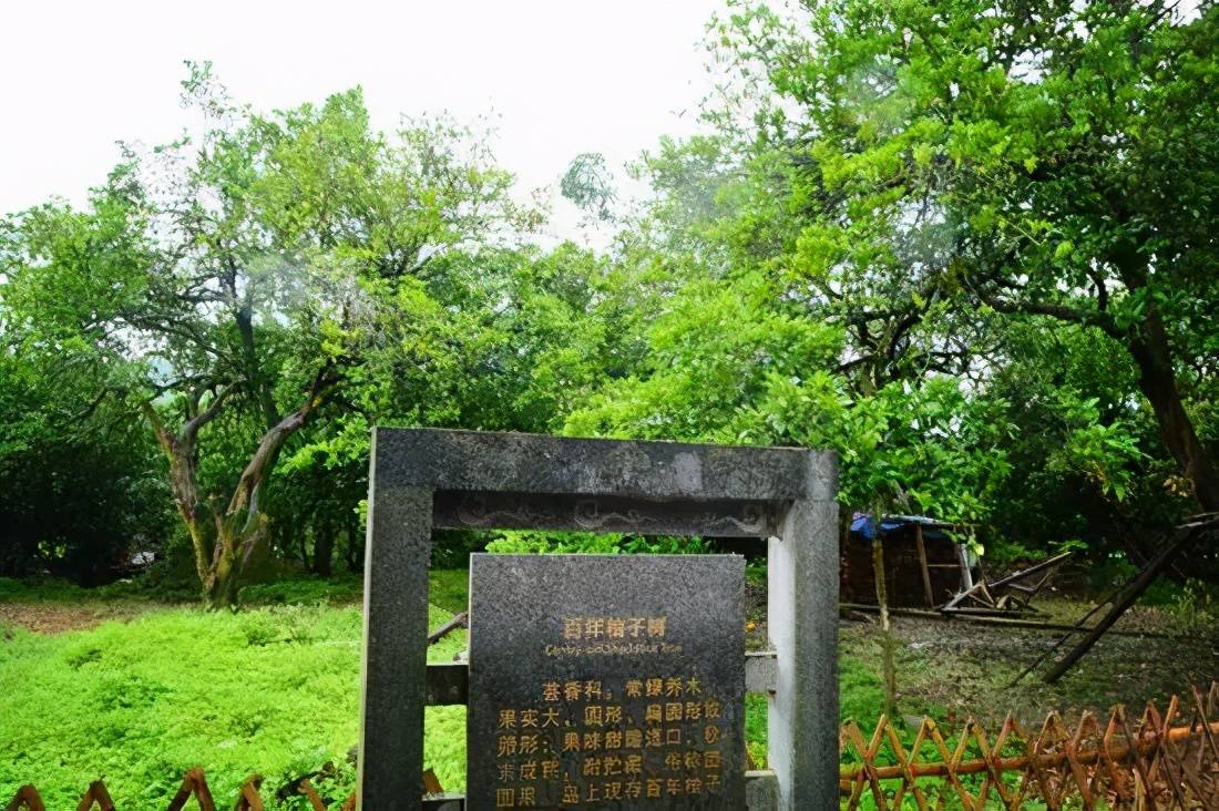 什么时候立碑最好 6e06e3683bfe4ec1835e2dcea2c29e7c.jpeg