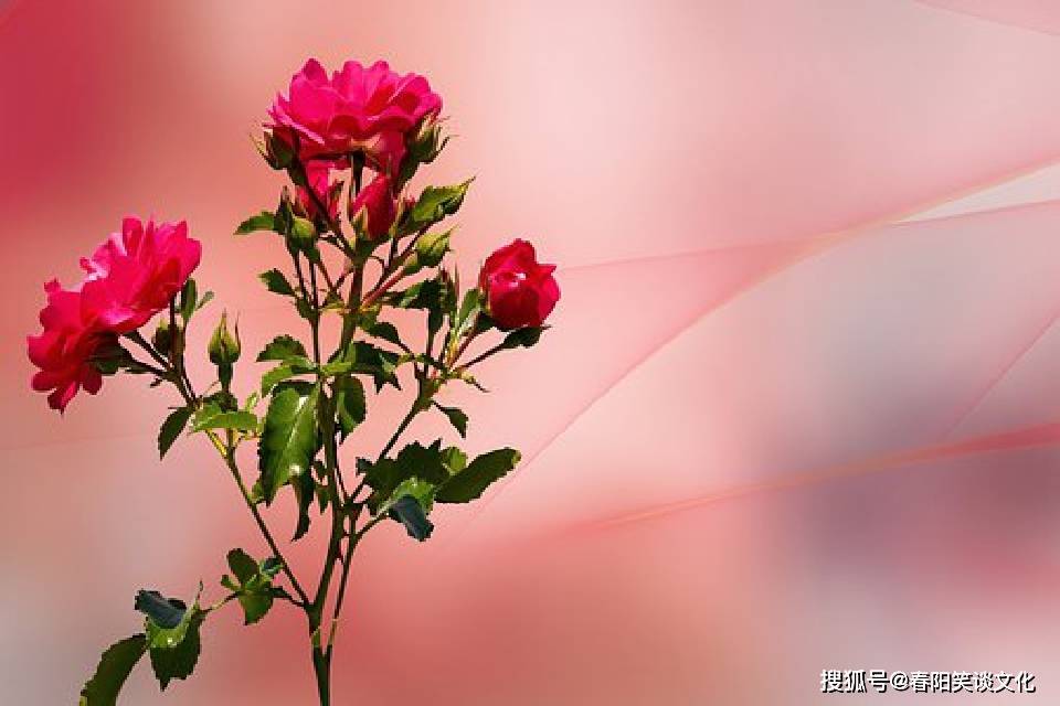 怎么才能放下一个自己深爱的女人 f0a183d08b7e48a6ae41f57eb8bb9197.jpeg