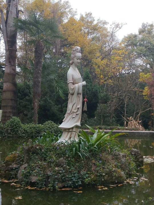 圆圆遂出家为尼,整日青灯古佛相伴,了却残生.