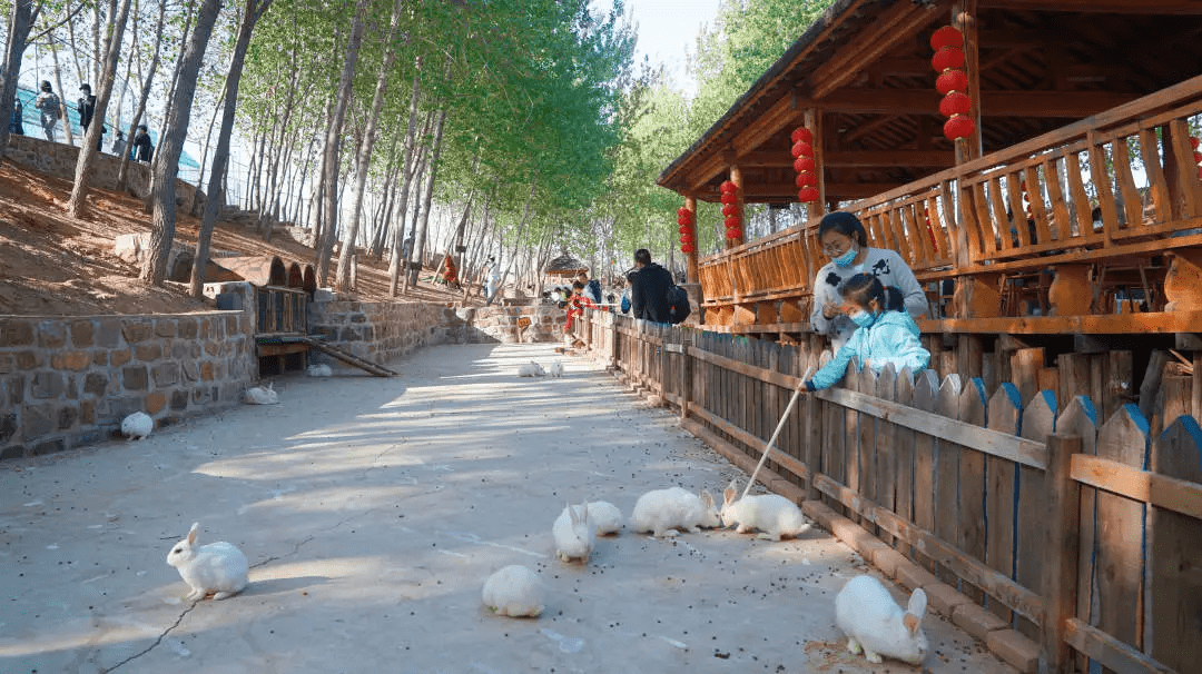 葫芦岛古镇儿童王国图片