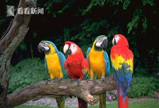9be19a3efcc64569815b89554a137f8e.jpeg