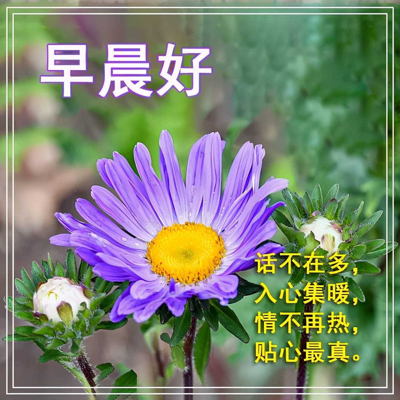 新的一天早安,超幸福的漂亮早安问候动态美图祝福语_人生