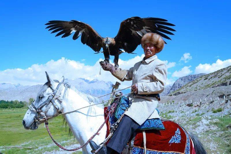 国家级非物质文化遗产——柯尔克孜族猎鹰文化陈辉摄