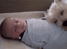 c8fa641d4c5f494da854653e03900310.gif