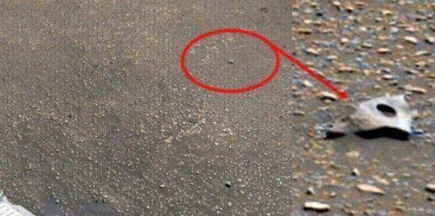 地球|火星再次发现疑似生命活动迹象，网友：这是真的吗