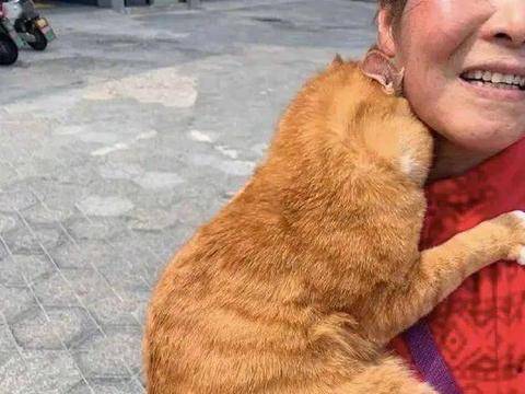 原创奶奶抱着一只橘猫,姿势宠溺像抱孙子,女子忍不住上前拍照