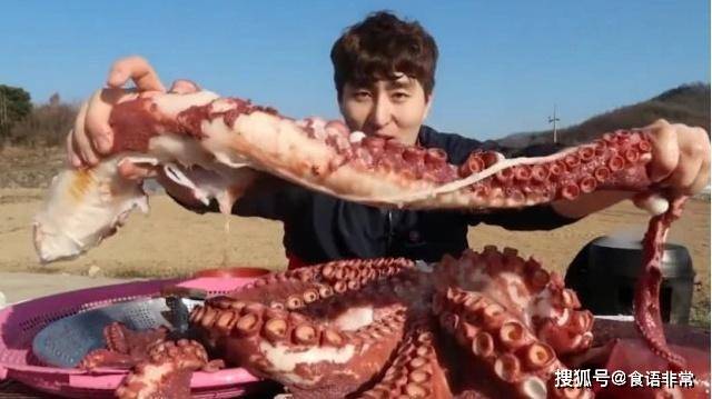 半岛体育- 半岛体育官方网站- APP下载韩国小哥直播吃30斤重的大章鱼粉丝越看越心疼直呼：快停下