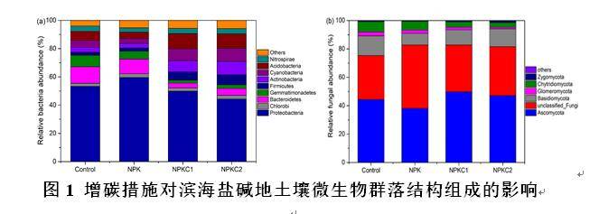 青島農業大學丁效東教授課題組在黃三角鹽鹼地土壤改良及地力提升方面