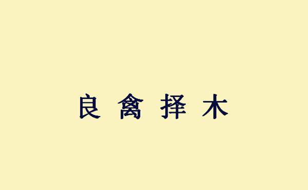 什么因奉什么成语_成语故事简笔画(2)