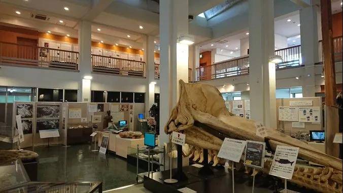 日本大学介绍 名古屋大学 学部