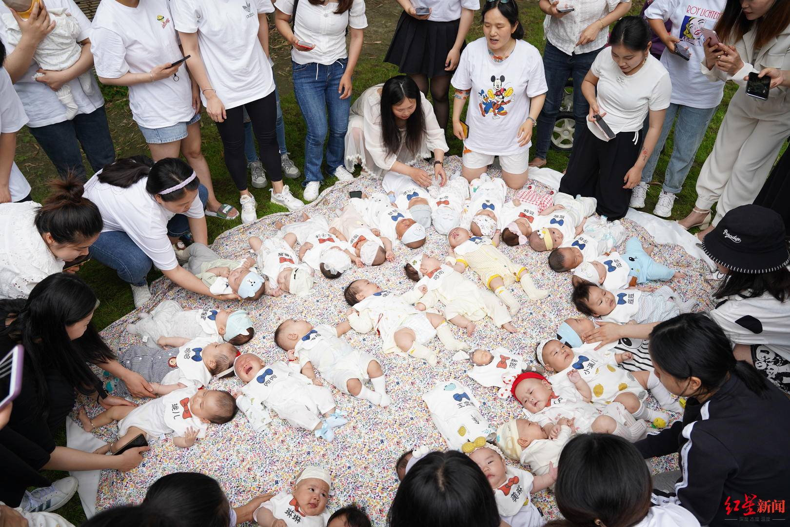 人类幼崽大聚会太萌了33个宝宝集体拍百天合照一堆王炸