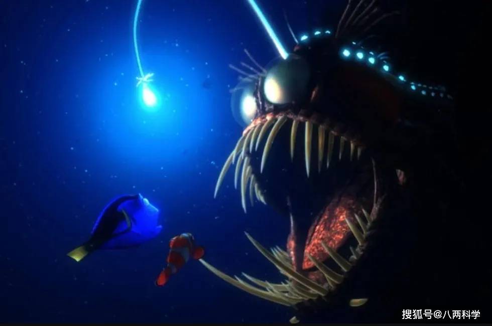 雄鱼去哪了 深海恐怖怪鱼 奇葩的繁殖策略一度搞懵了科学家 灯笼