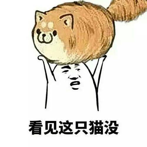 原创
手机丢了,借朋友的手机打了过去,一个人接了。